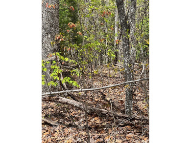 Large lot with great building site and beautiful views of the - photo 11