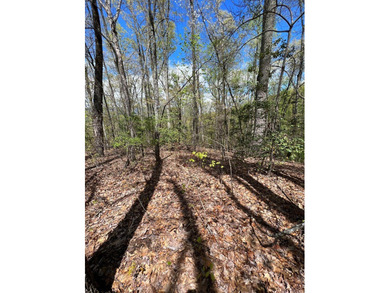 Large lot with great building site and beautiful views of the - photo 13
