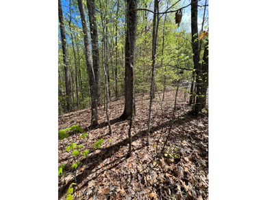 Large lot with great building site and beautiful views of the - photo 14