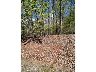 Large lot with great building site and beautiful views of the - photo 15
