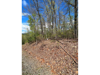 Large lot with great building site and beautiful views of the - photo 16