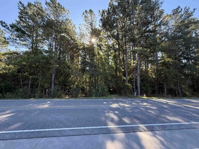 Intracoastal Waterway - Horry County Lot Sale Pending in Little River South Carolina