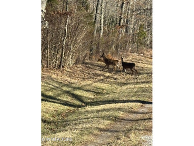 Lake Tansi Lot For Sale in Crossville Tennessee