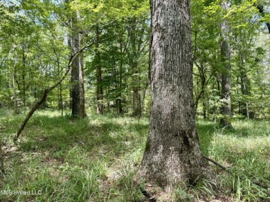 Lake Acreage For Sale in Wesson, Mississippi