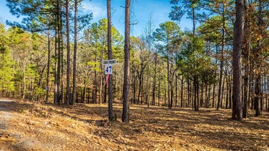 Don't miss this rare opportunity to own waterfront property on - photo 3