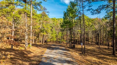 Don't miss this rare opportunity to own waterfront property on - photo 4