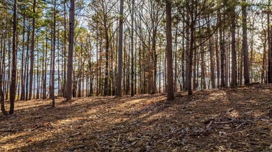 Don't miss this rare opportunity to own waterfront property on - photo 2