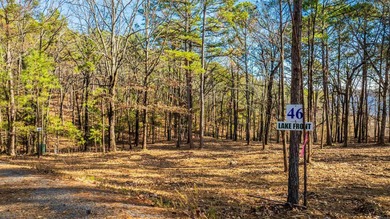 Don't miss this rare opportunity to own waterfront property on - photo 6