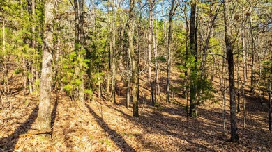 Don't miss this rare opportunity to own waterfront property on - photo 7
