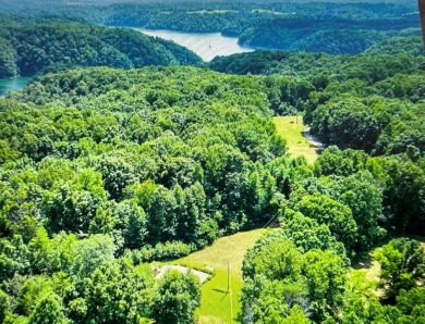Lake Cumberland Lot For Sale in Albany Kentucky
