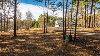 Don't miss this rare opportunity to own waterfront property on - photo 6