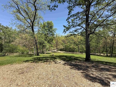 Looking for that optimal full-time home or weekend retreat? This - photo 39