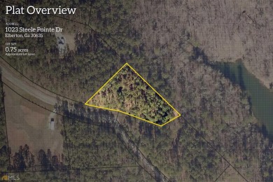 Lake Lot Off Market in Elberton, Georgia