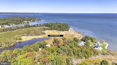 (private lake, pond, coastal) Home For Sale in Shady Side Maryland