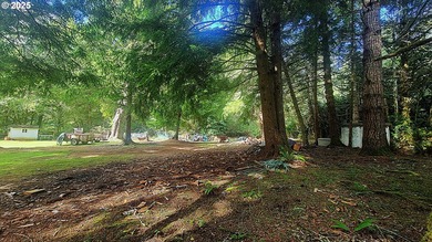 Discover the potential of this beautiful two-acre property - photo 6