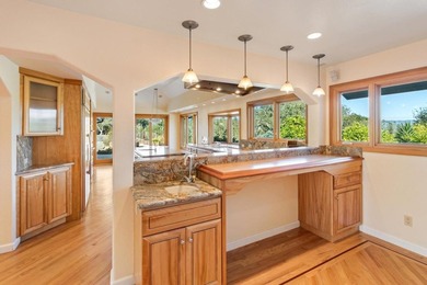 SINGLE LEVEL HOME. LOTS of usable Land to add ADU, Accessory - photo 19