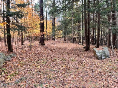Lake George Acreage Sale Pending in Bolton Landing New York