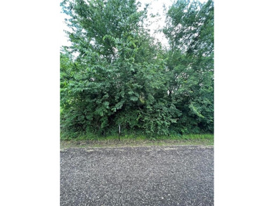 Lake Lot For Sale in Sulphur Springs, Texas