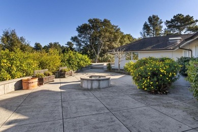 SINGLE LEVEL HOME. LOTS of usable Land to add ADU, Accessory - photo 39