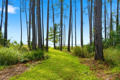 Introducing Bayshore Retreat - a rare 1.4-acre bayfront - photo 9