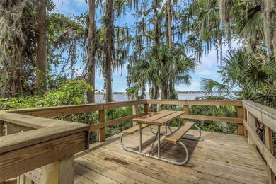 Virtually Staged. Welcome to this stunning ONE STORY Juniper Bay - photo 57