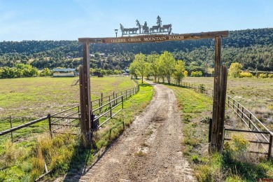 Lake Home For Sale in Hesperus, Colorado