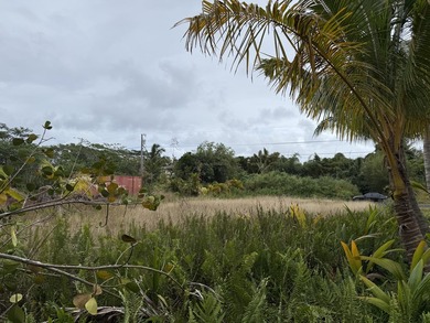 A tropical property just a mile from the ocean. A great location - photo 2