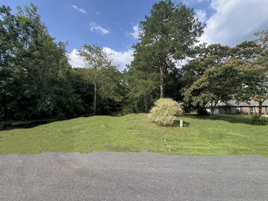 Well Maintained One Owner Custom Built Brick Home. Located Just - photo 39