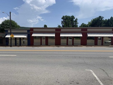 Two great opportunities located in the Heart of Heber Springs! - photo 2