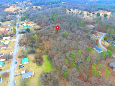 Watts Bar Lake Acreage For Sale in Rockwood Tennessee