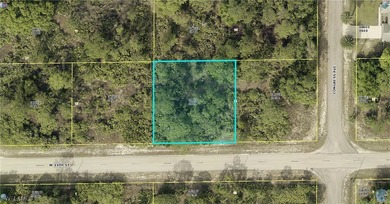 Lehigh Acres Area Lot For Sale in Lehigh Acres Florida