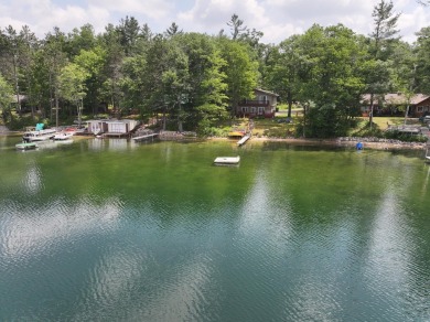 Lake Home For Sale in Gaylord, Michigan