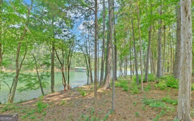 Lake Lot For Sale in Hartwell, Georgia