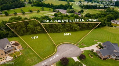 French Broad River Acreage For Sale in Kodak Tennessee
