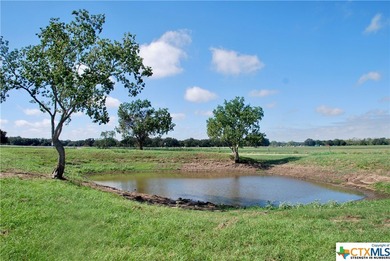 (private lake, pond, creek) Acreage For Sale in Hallettsville Texas