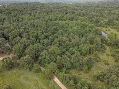 Lake Acreage For Sale in Maynard, Arkansas