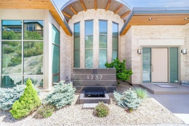 Bright lights. Big city views. This 4500 sq ft custom built - photo 4
