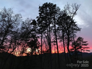 Gently sloping lot in the scenic Riverbend Community of Lake - photo 5