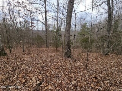 Norris Lake Lot For Sale in Lafollette Tennessee