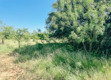 Lake Acreage Sale Pending in Brownwood, Texas