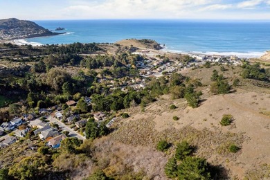 Discover an exceptional opportunity in Pacifica's sought-after - photo 2