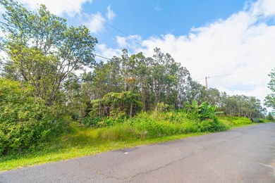 Build your dream home on this gorgeous front lot lush with - photo 3