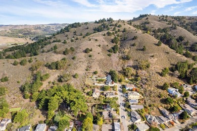 Discover an exceptional opportunity in Pacifica's sought-after - photo 3