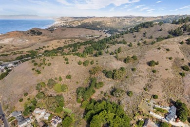 Discover an exceptional opportunity in Pacifica's sought-after - photo 4