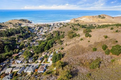 Discover an exceptional opportunity in Pacifica's sought-after - photo 6