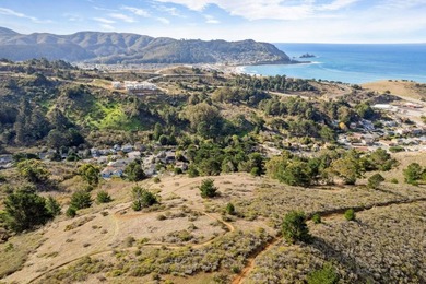 Discover an exceptional opportunity in Pacifica's sought-after - photo 7