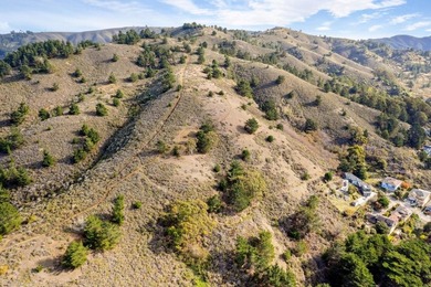 Discover an exceptional opportunity in Pacifica's sought-after - photo 8