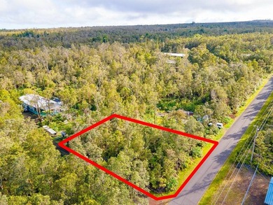 Build your dream home on this front lot lush with ginger and - photo 1