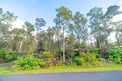 Build your dream home on this front lot lush with ginger and - photo 4