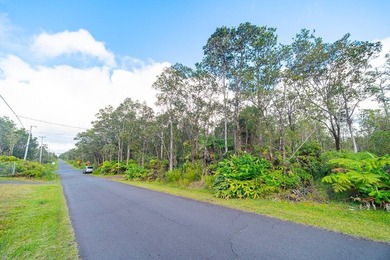 Build your dream home on this front lot lush with ginger and - photo 5